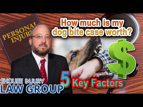 How Much Is My Dog Bite Lawsuit Worth? 5 Key Factors